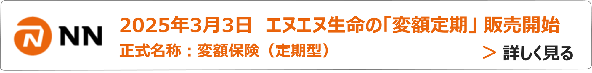 2025年3月3日　販売開始　エヌエヌ生命の変額定期