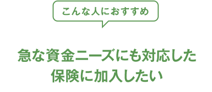 こんな人におすすめ 急な資金ニーズにも対応した保険に加入したい