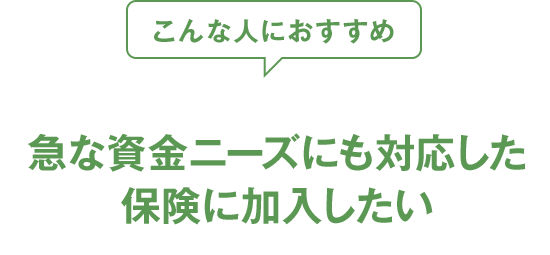 こんな人におすすめ 急な資金ニーズにも対応した保険に加入したい