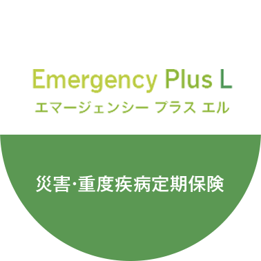 エマージェンシープラス エル 災害･重度疾病定期保険