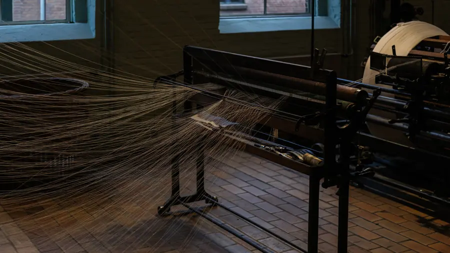 オランダスタディツアー2023の写真